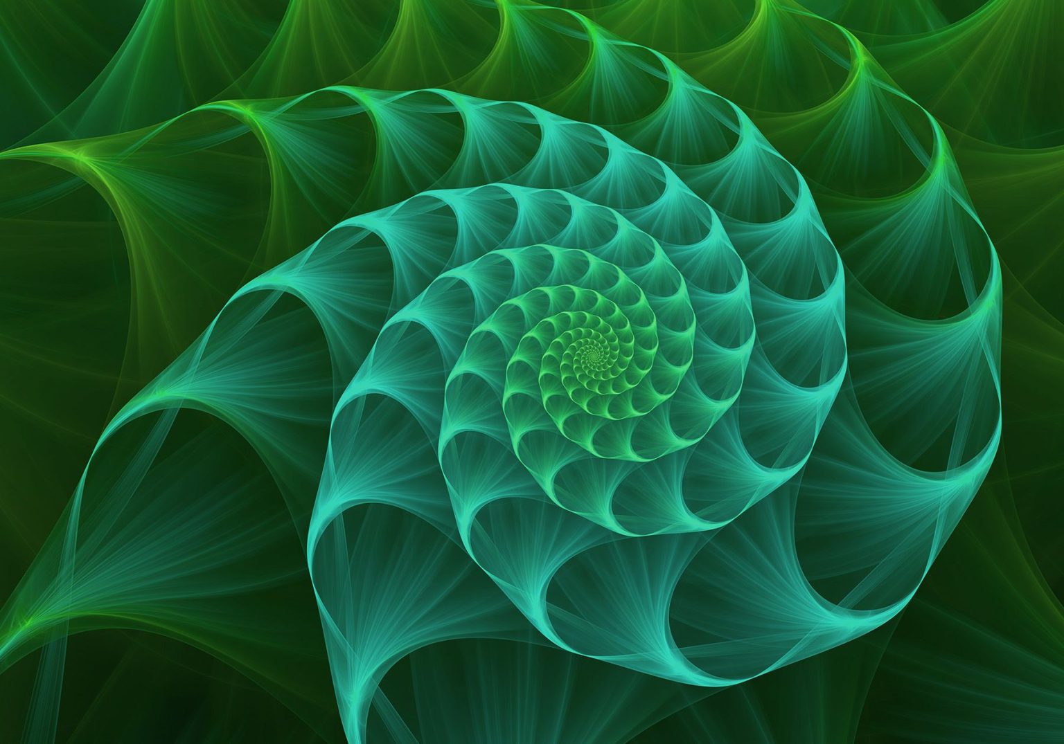 Sacred geometry and patterns as a healing tool within hospital